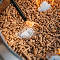 Hot Selling Biomass Wood Pellets for Heating Fuel | Wholesale Factory Price Renewable Energy Suppliers Exporter