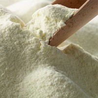 "Full Cream Milk Powder Bulk Wholesale Suppliers Premium Quality Dairy Powder Factory Direct Sale"