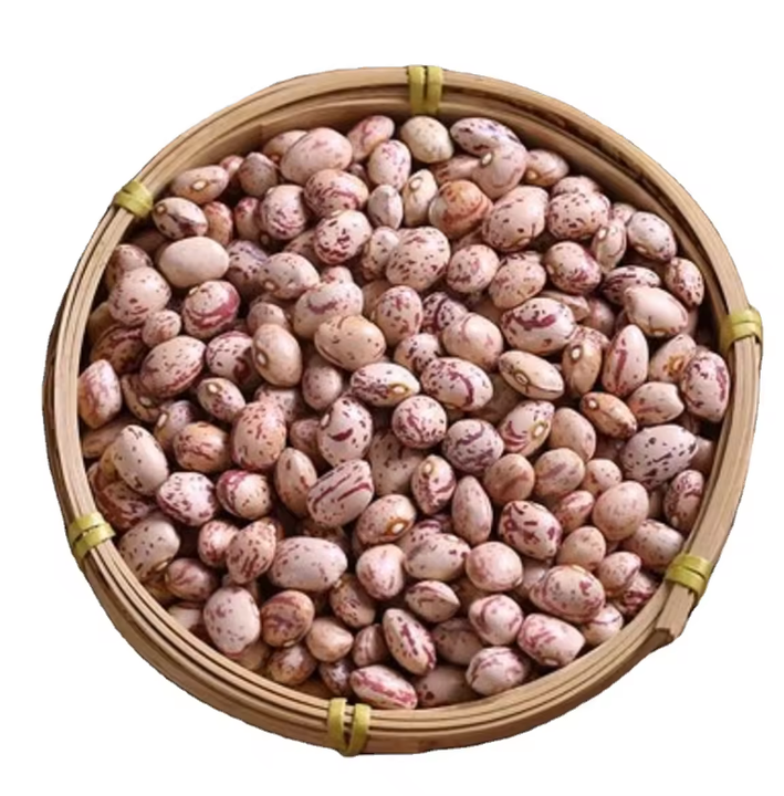 Top Grade Pinto Beans Wholesale Suppliers | Bulk Factory Price Pinto Beans for Food Processing & Distribution