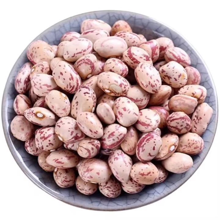 Top Grade Pinto Beans Wholesale Suppliers | Bulk Factory Price Pinto Beans for Food Processing & Distribution
