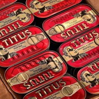 "Buy Bulk Canned Sardine Online, Wholesale Cheap Price, Premium Quality Fish, Best Protein Canned Sardines"