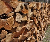 Buy Bulk Dried Oak Firewood Online Wholesale High Quality Hardwood Logs for Heating Fireplace BBQ Outdoor Use