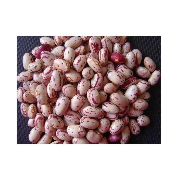 Top Grade Pinto Beans Wholesale Suppliers | Bulk Factory Price Pinto Beans for Food Processing & Distribution