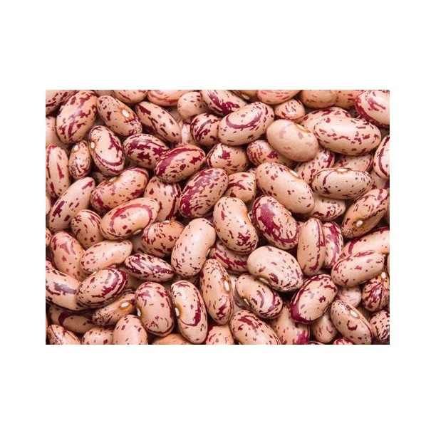 Top Grade Pinto Beans Wholesale Suppliers | Bulk Factory Price Pinto Beans for Food Processing & Distribution